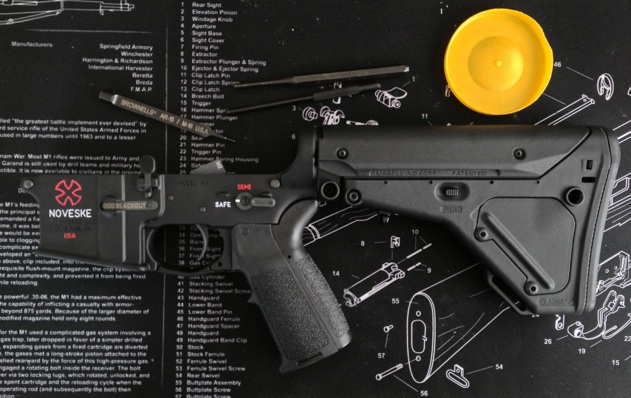 assembled AR15 lower